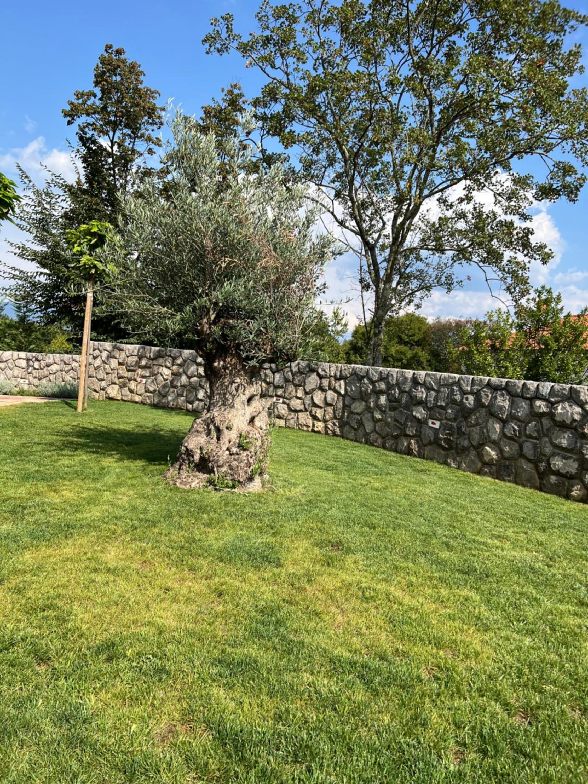 Villa Luna