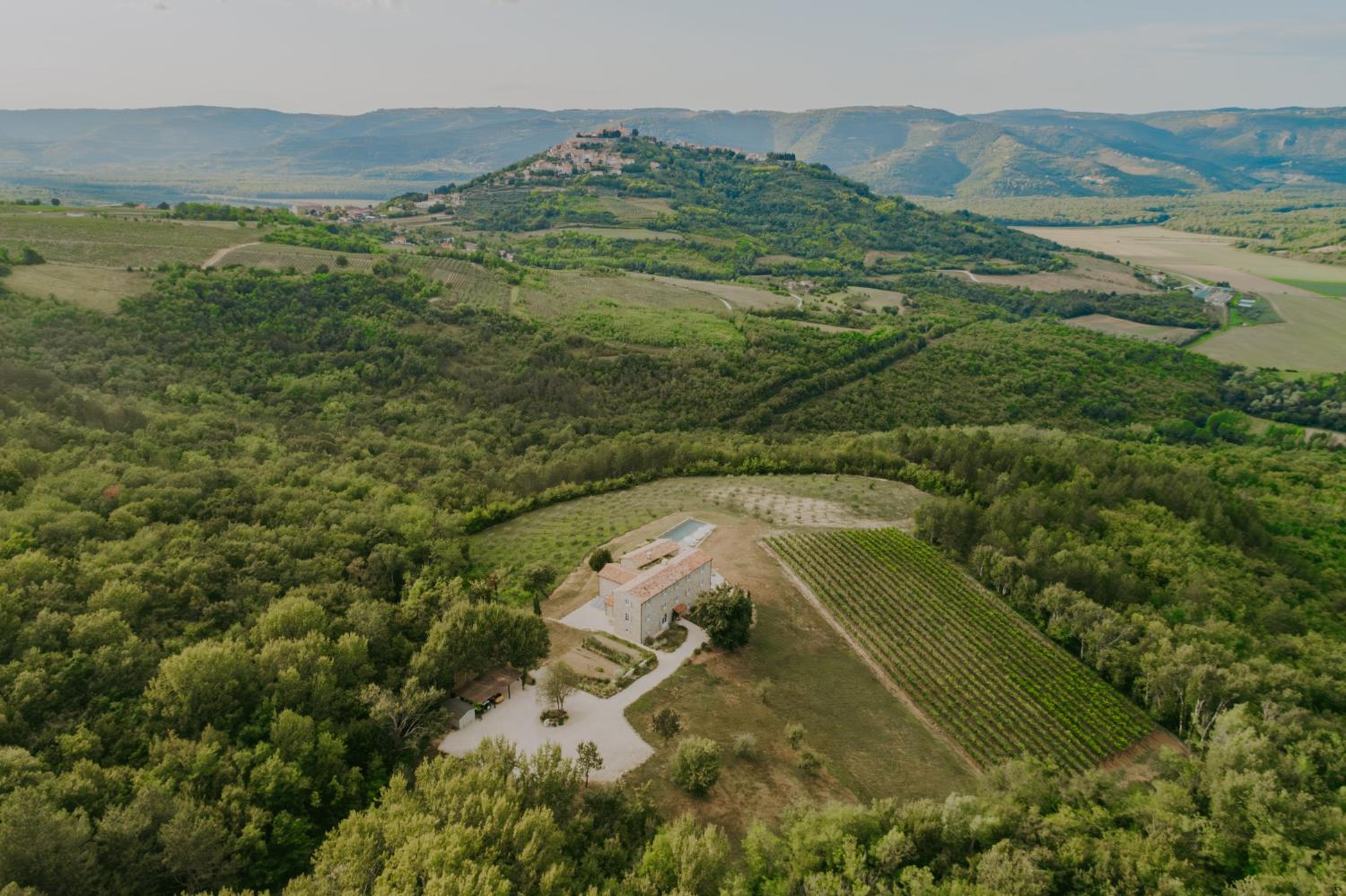 Luxury estate with 6 hectares land near hilltop town Motovun view 3