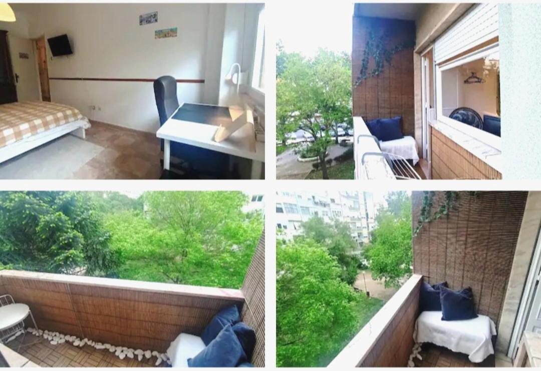 Private Rooms in Shared Apartment - Shared Bathroom and Dog Friendly view 5