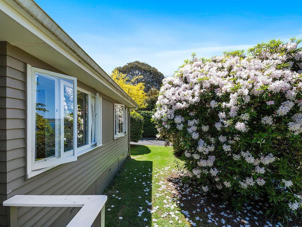 Te Kopua - Acacia Bay Holiday Home view 4