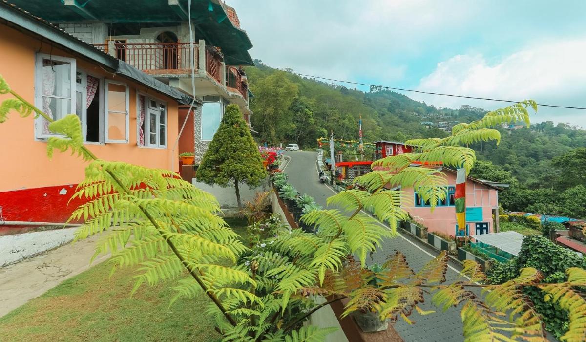 Bon Pinewood Homestay