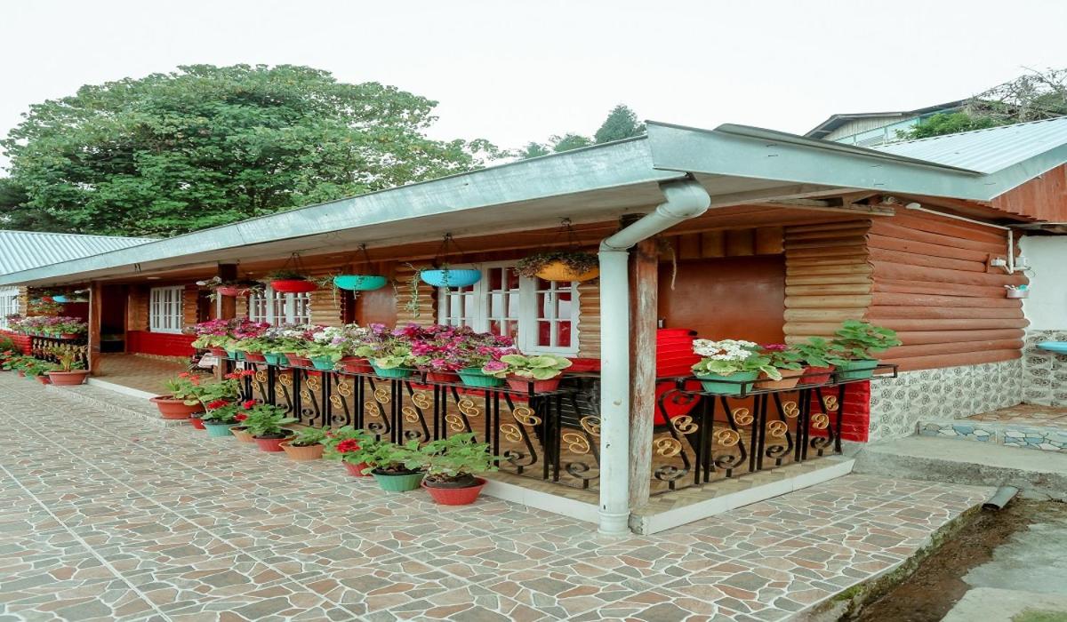 Bon Pinewood Homestay