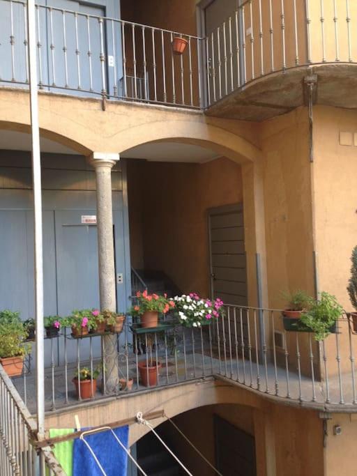 Nice and chic Apt near Fiera Milano
