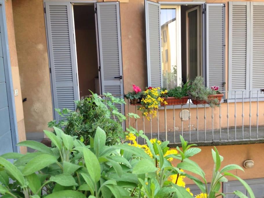 Nice and chic Apt near Fiera Milano
