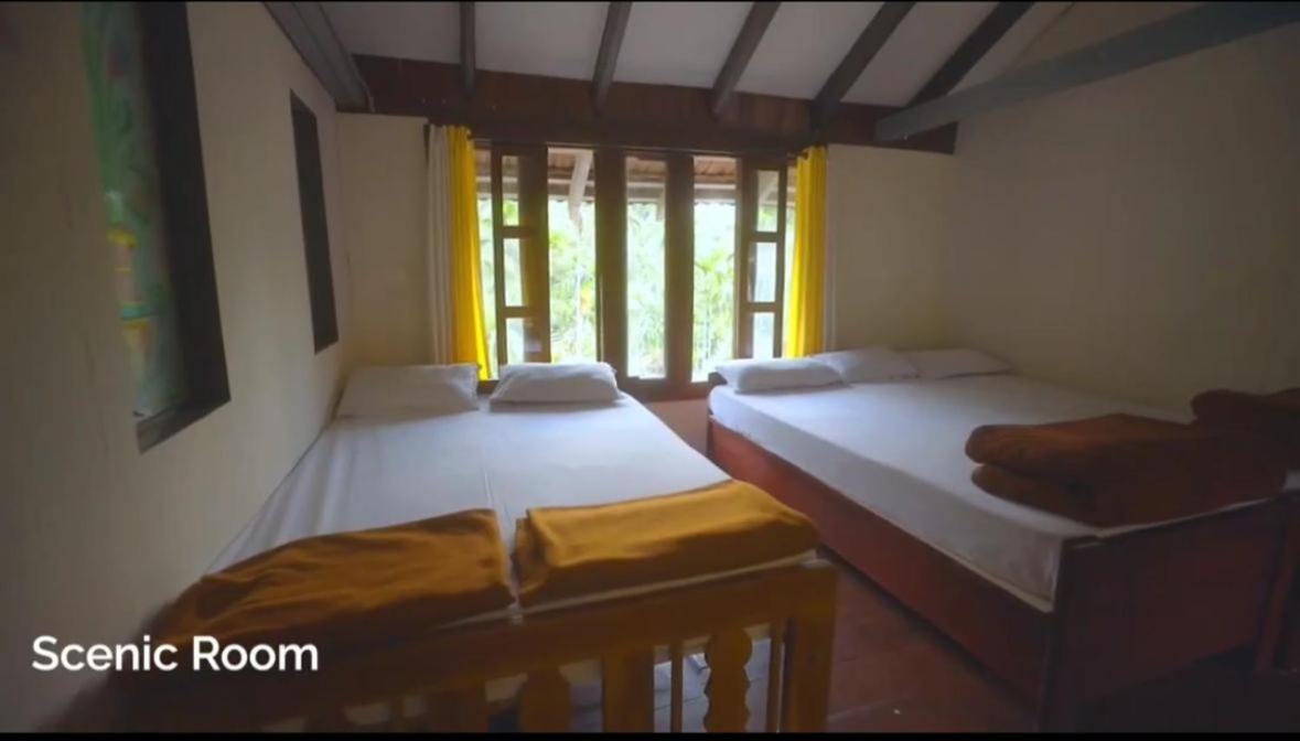 Saaranga homestay