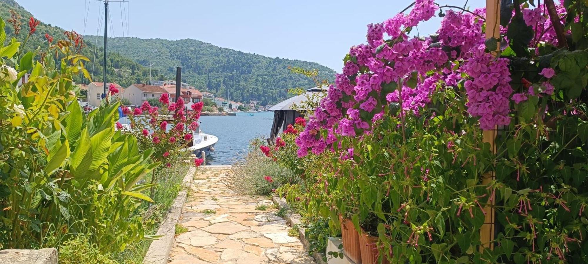 Stara kuća