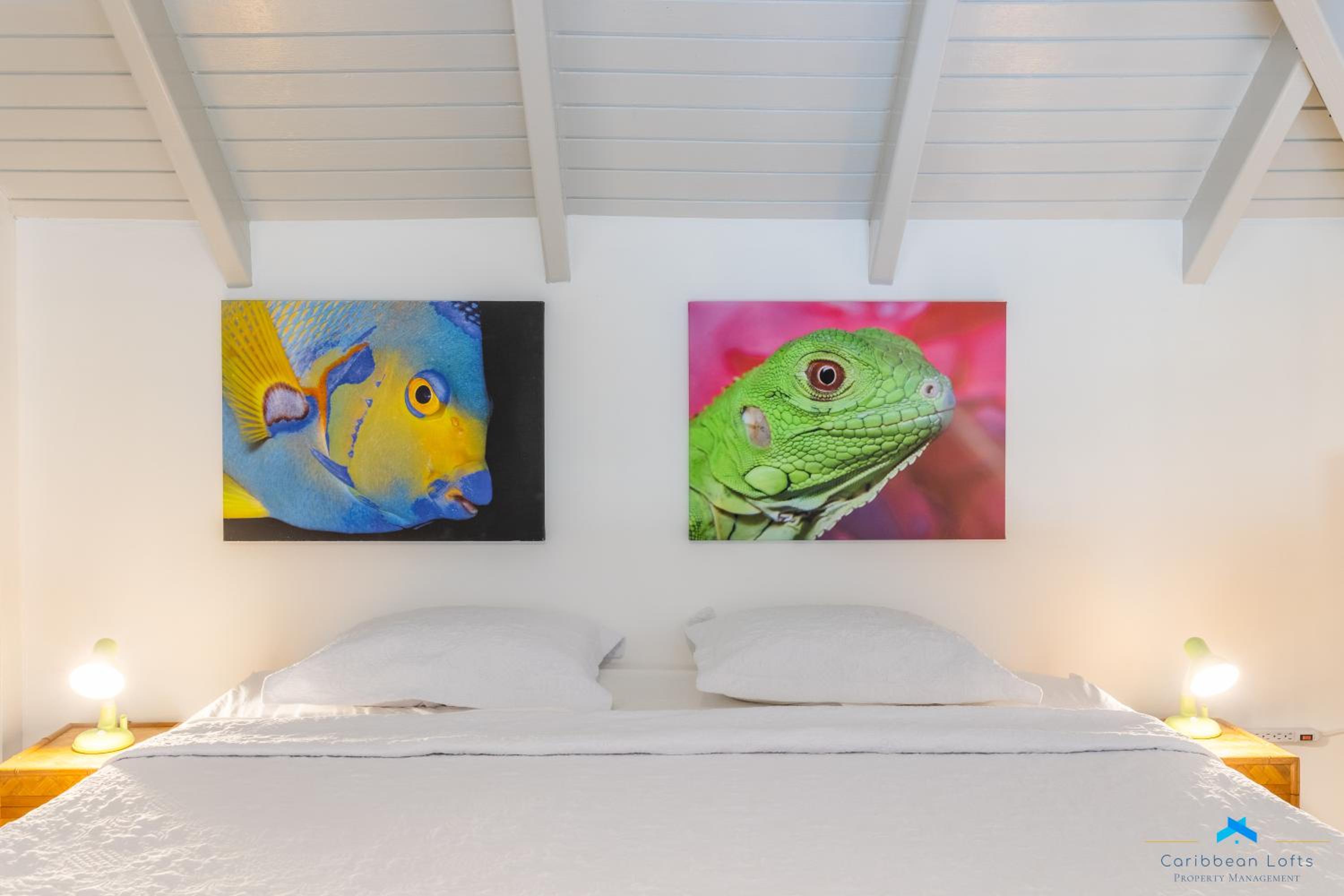Caribbean Lofts Bonaire