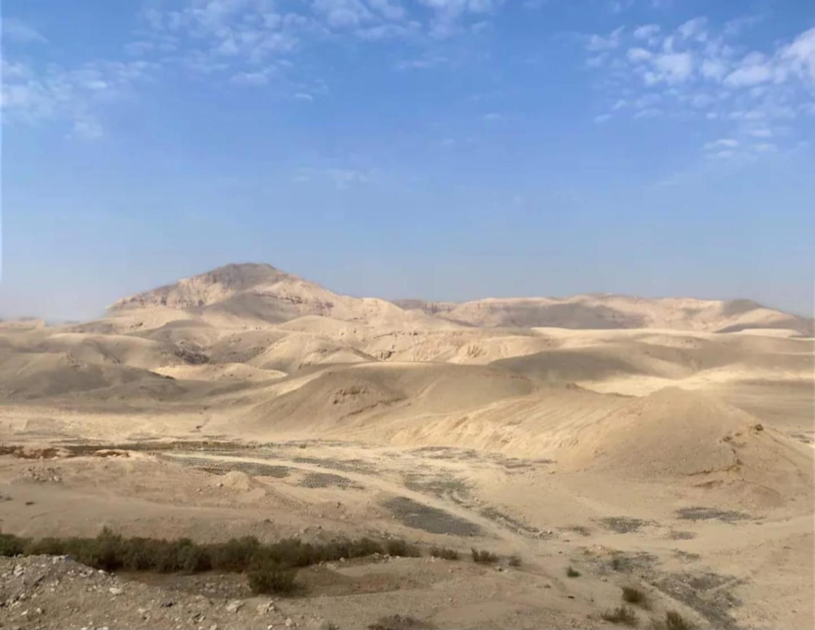Jasmin Desert House