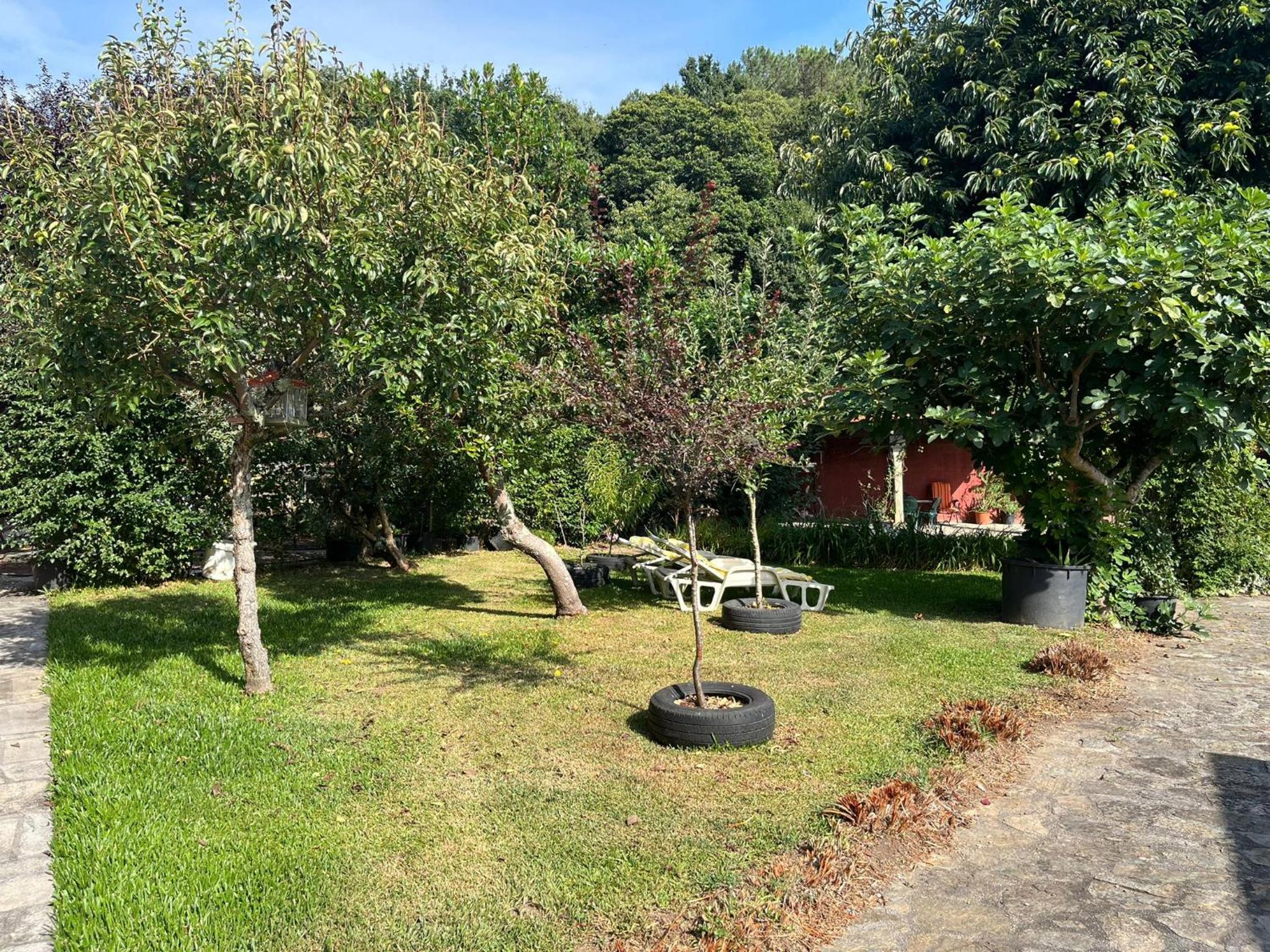 Casa Romeo