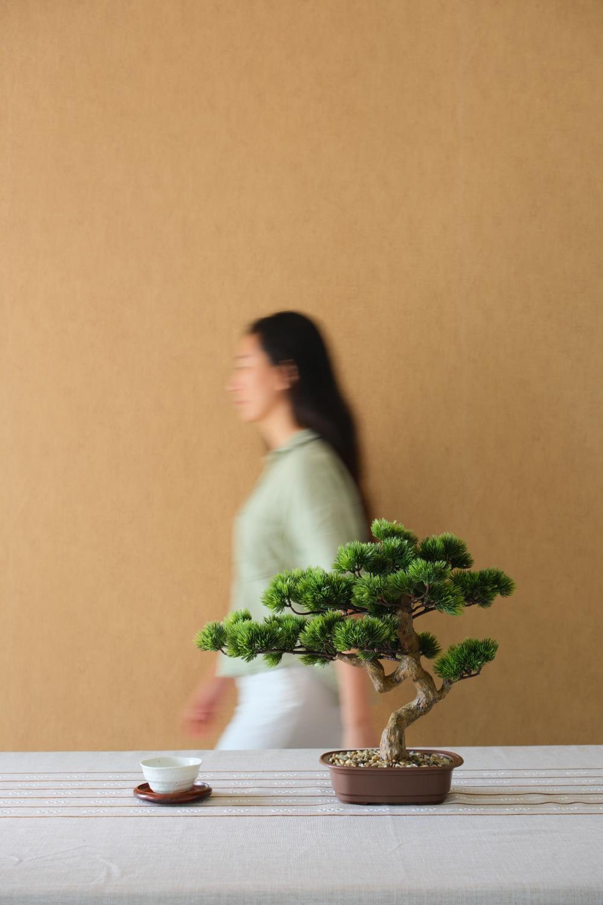 Photo 42