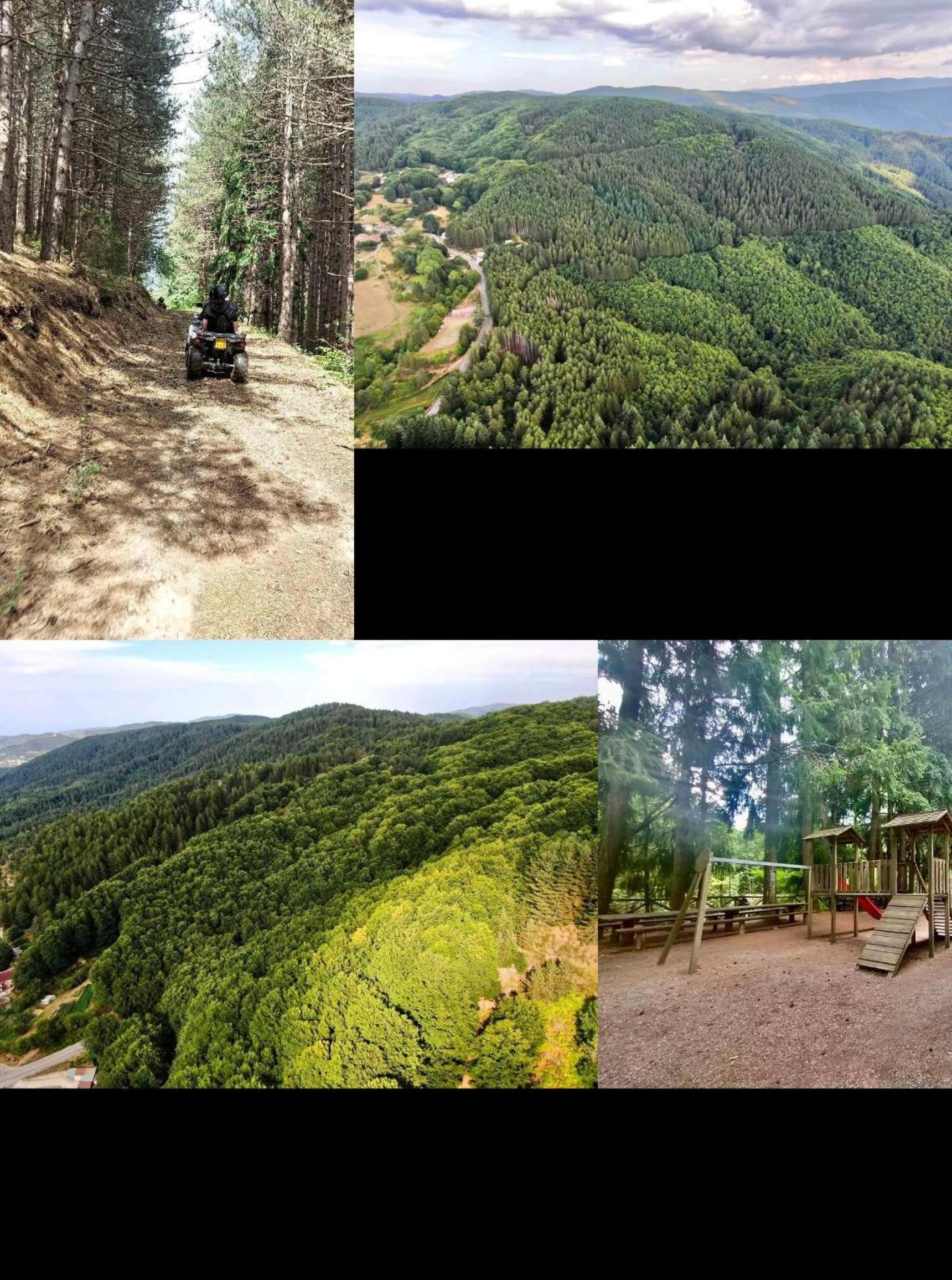 La Dolce Sosta view 5