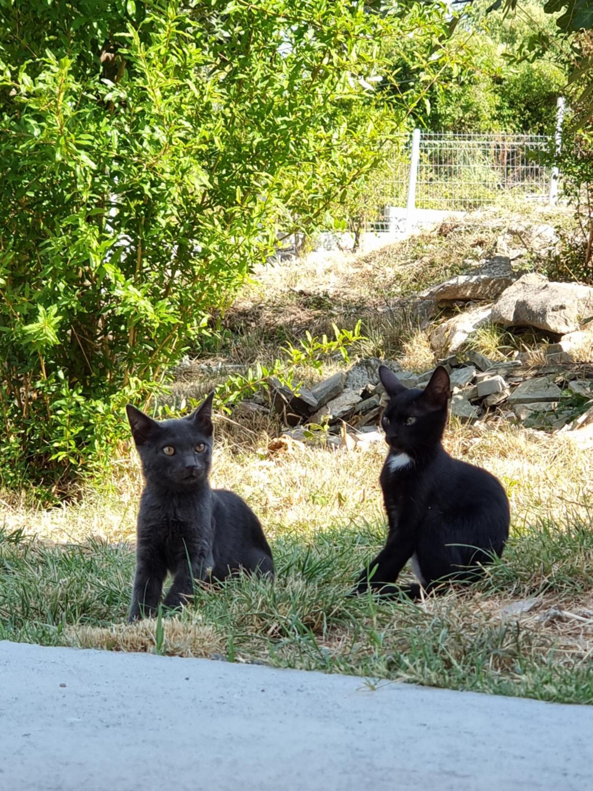 HomeByTheLake-Shiroke photo 2