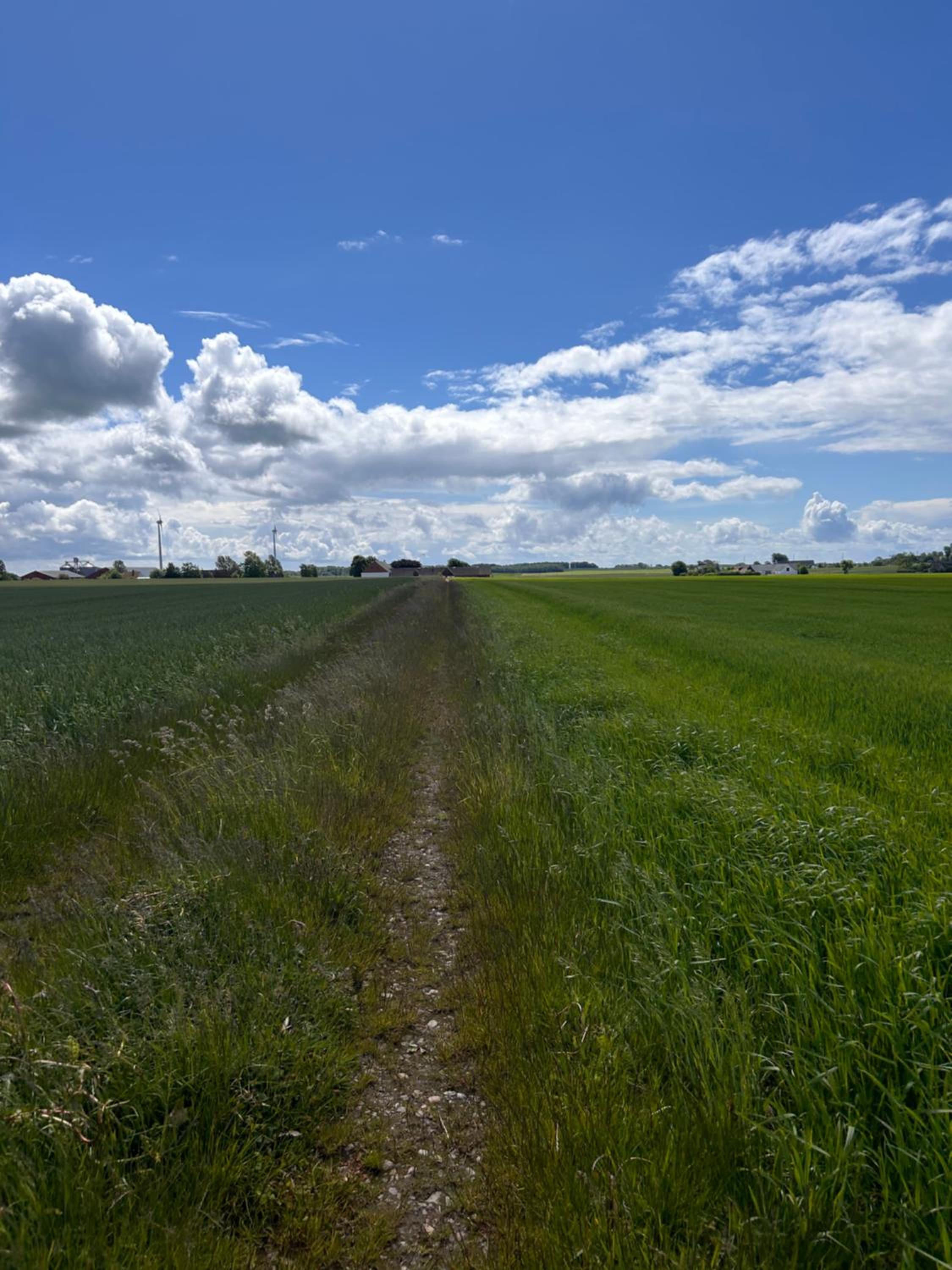 Blästorps Gård
