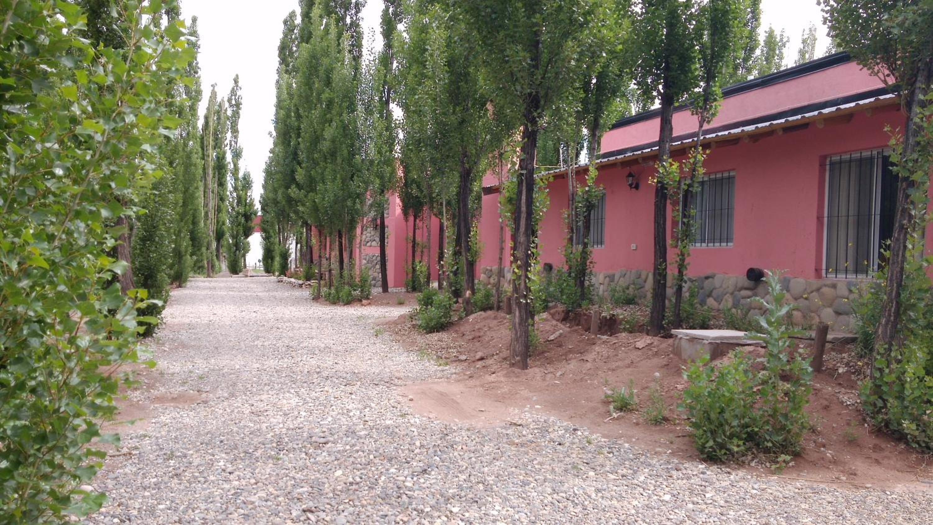 Cabañas Suangel
