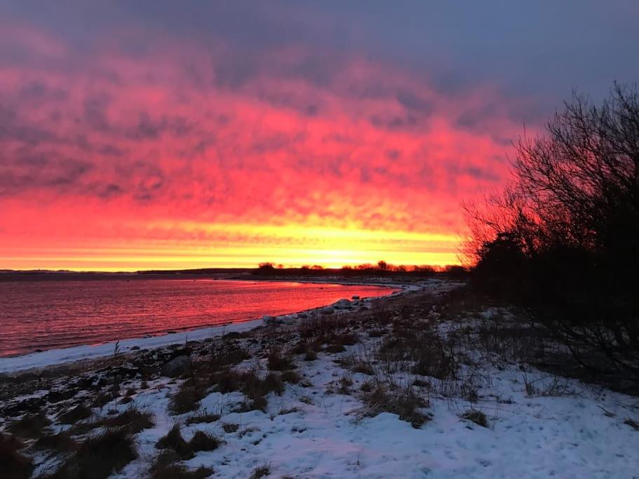 Strandgården på Skarø med færge fra Svendborg
