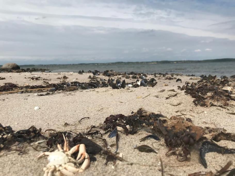 Strandgården på Skarø med færge fra Svendborg