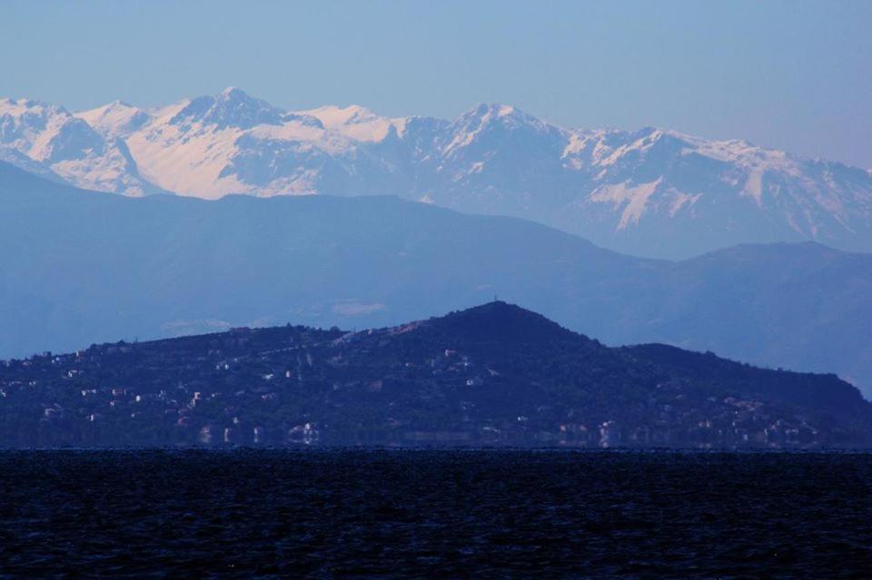 Vateri