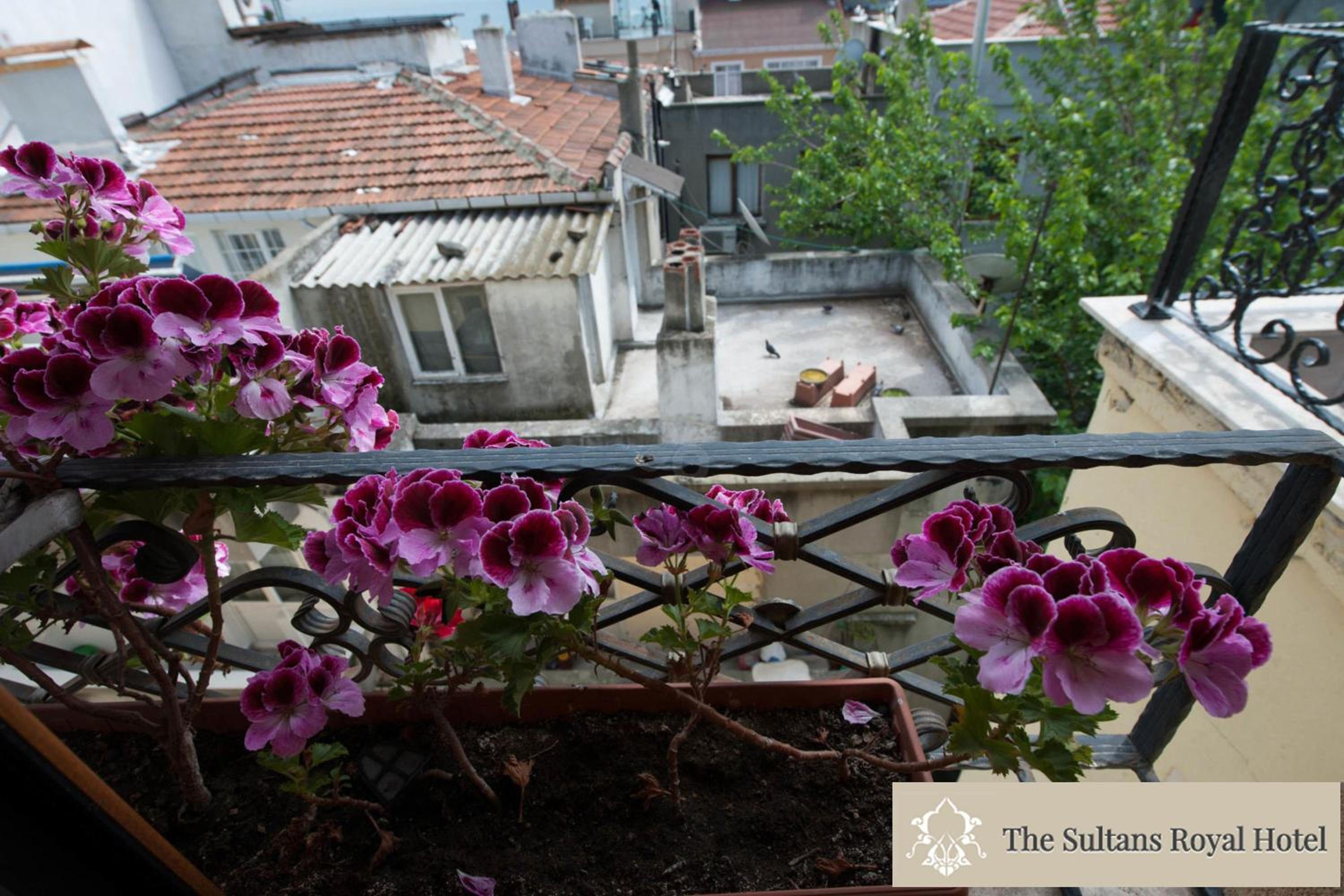 Sultans Royal Hotel - Image 9