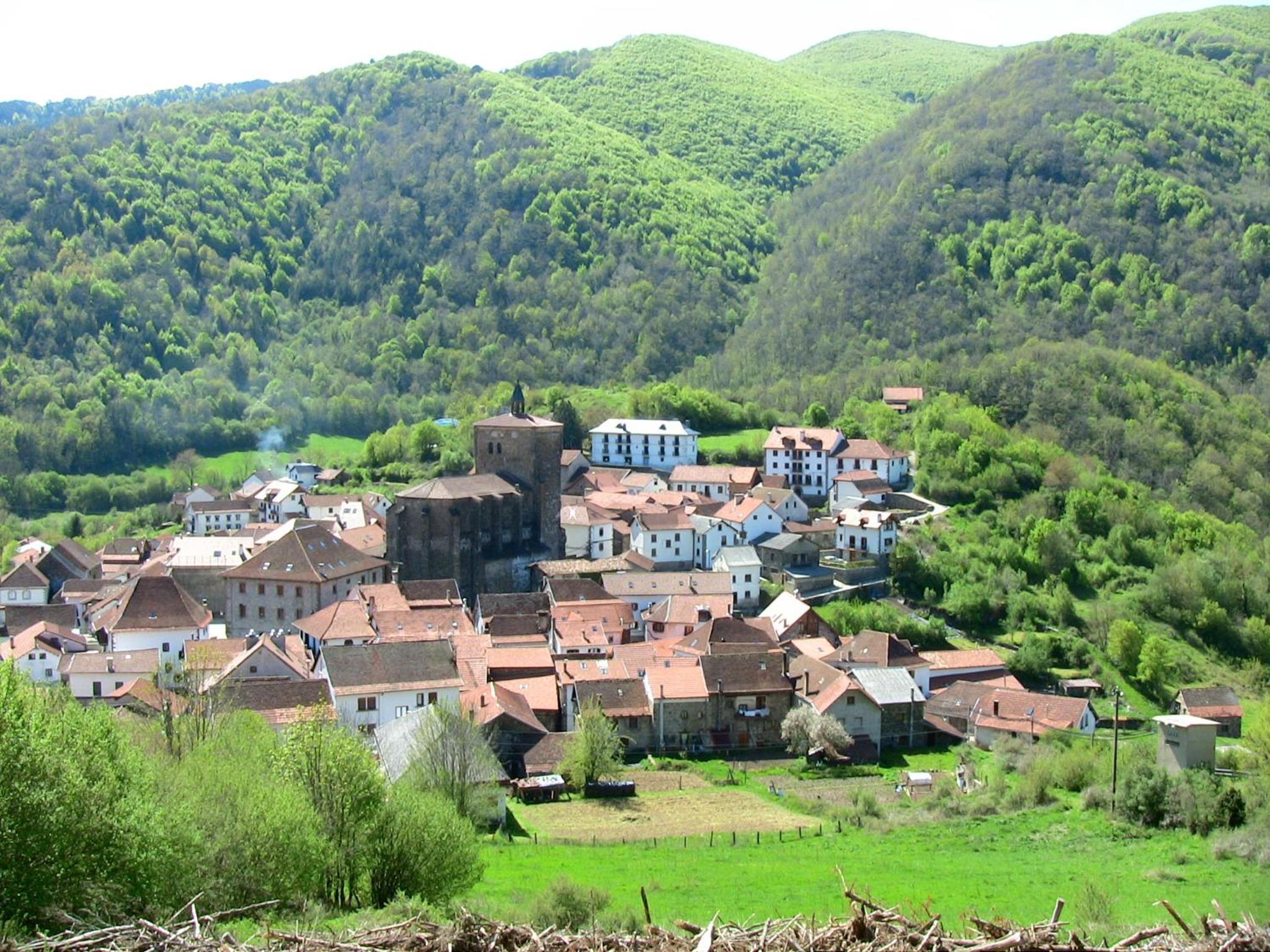 Photo 11