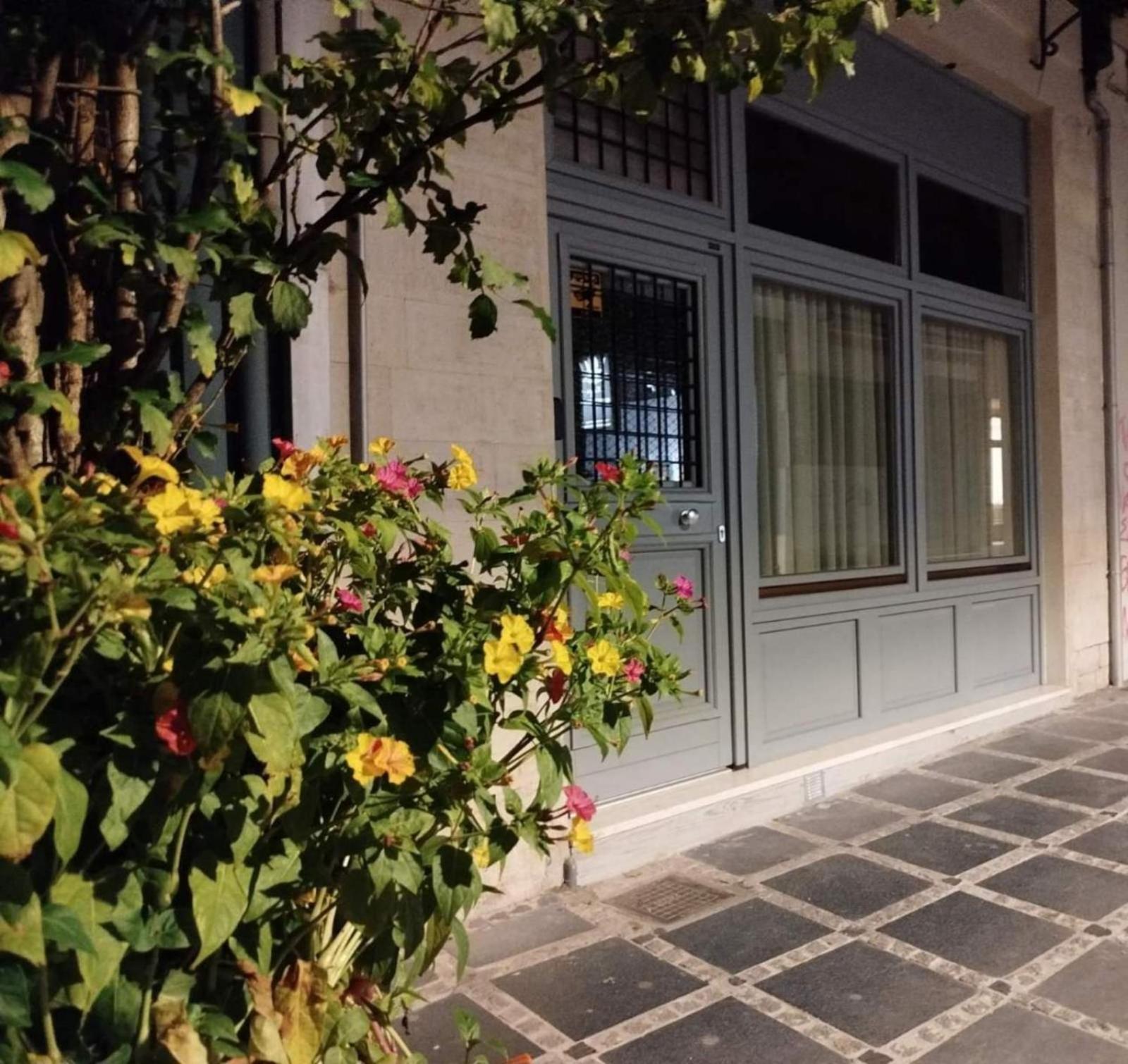 THOMAS LUXURY APARTMENT in the historical center of Ioannina