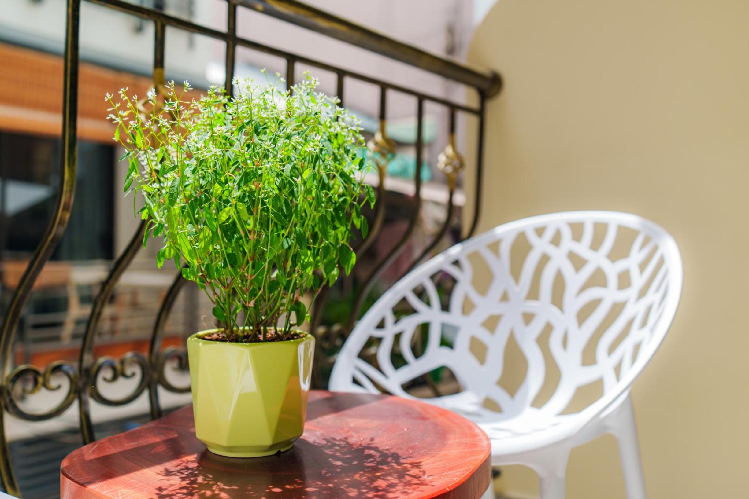Cô Châu Homestay