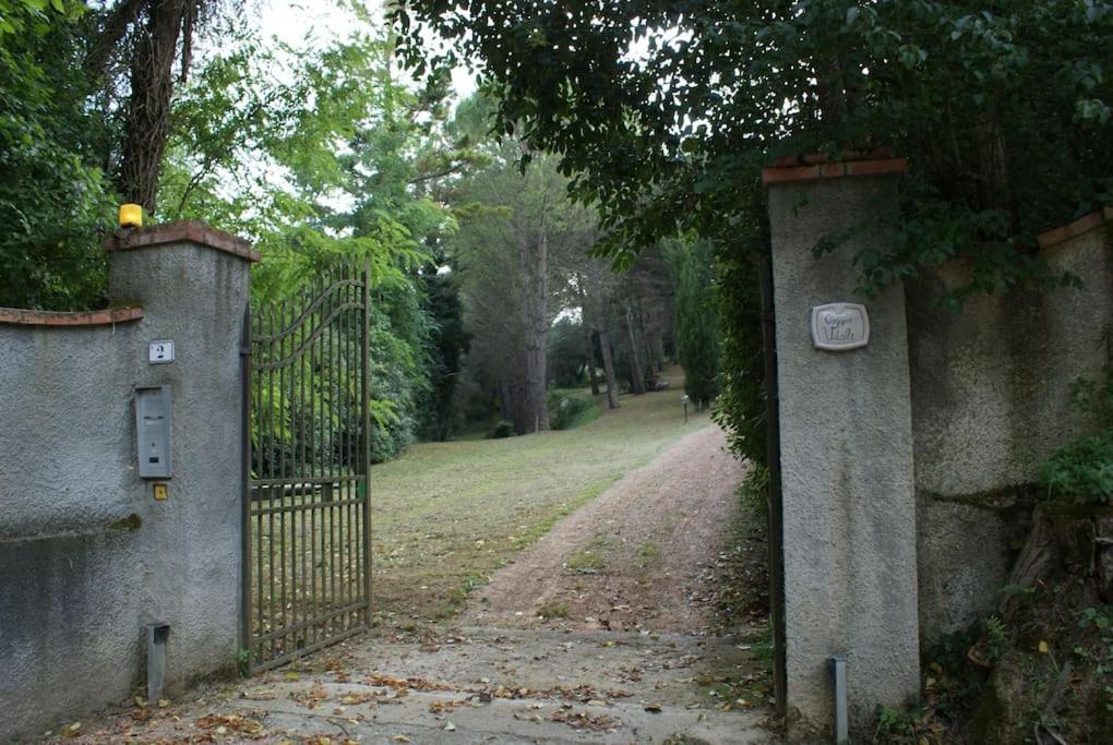 Photo 30