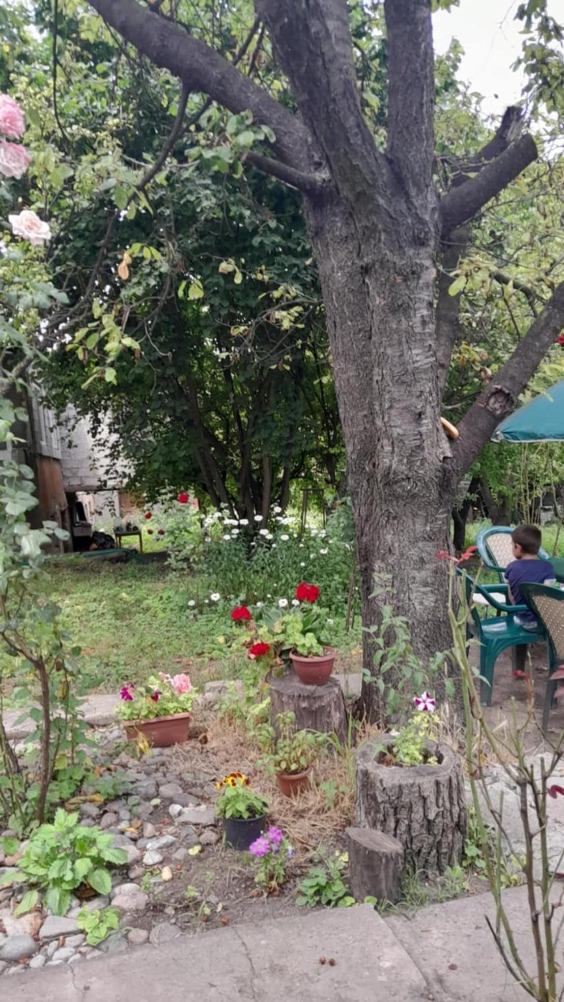 Hayk B&B (in Sanahin)