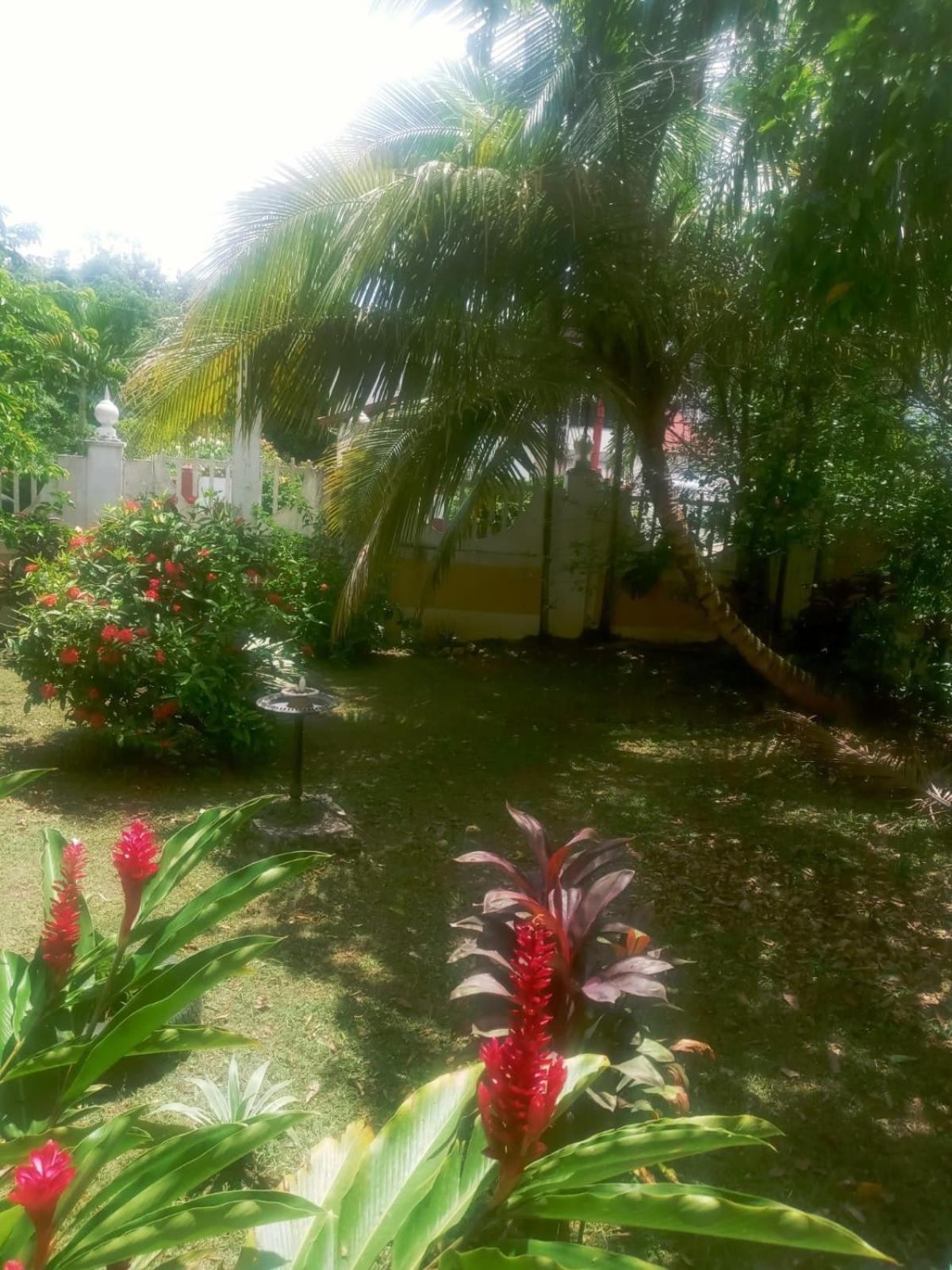 Photo 47