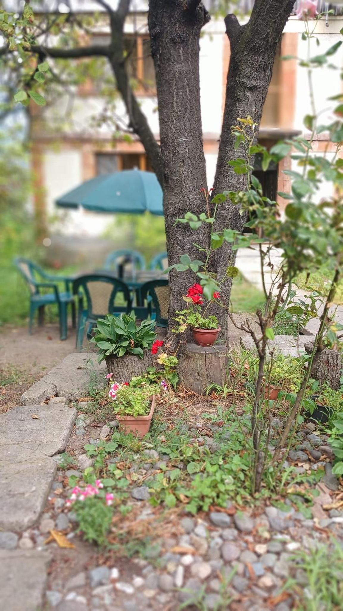 Hayk B&B (in Sanahin)