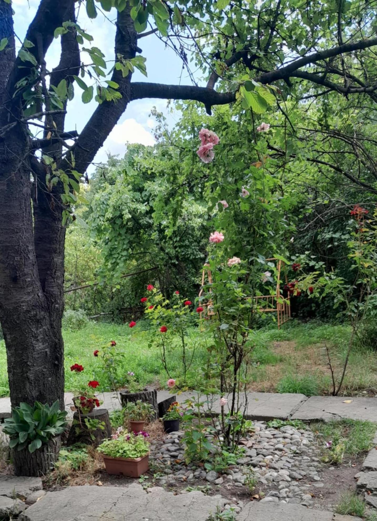 Hayk B&B (in Sanahin)