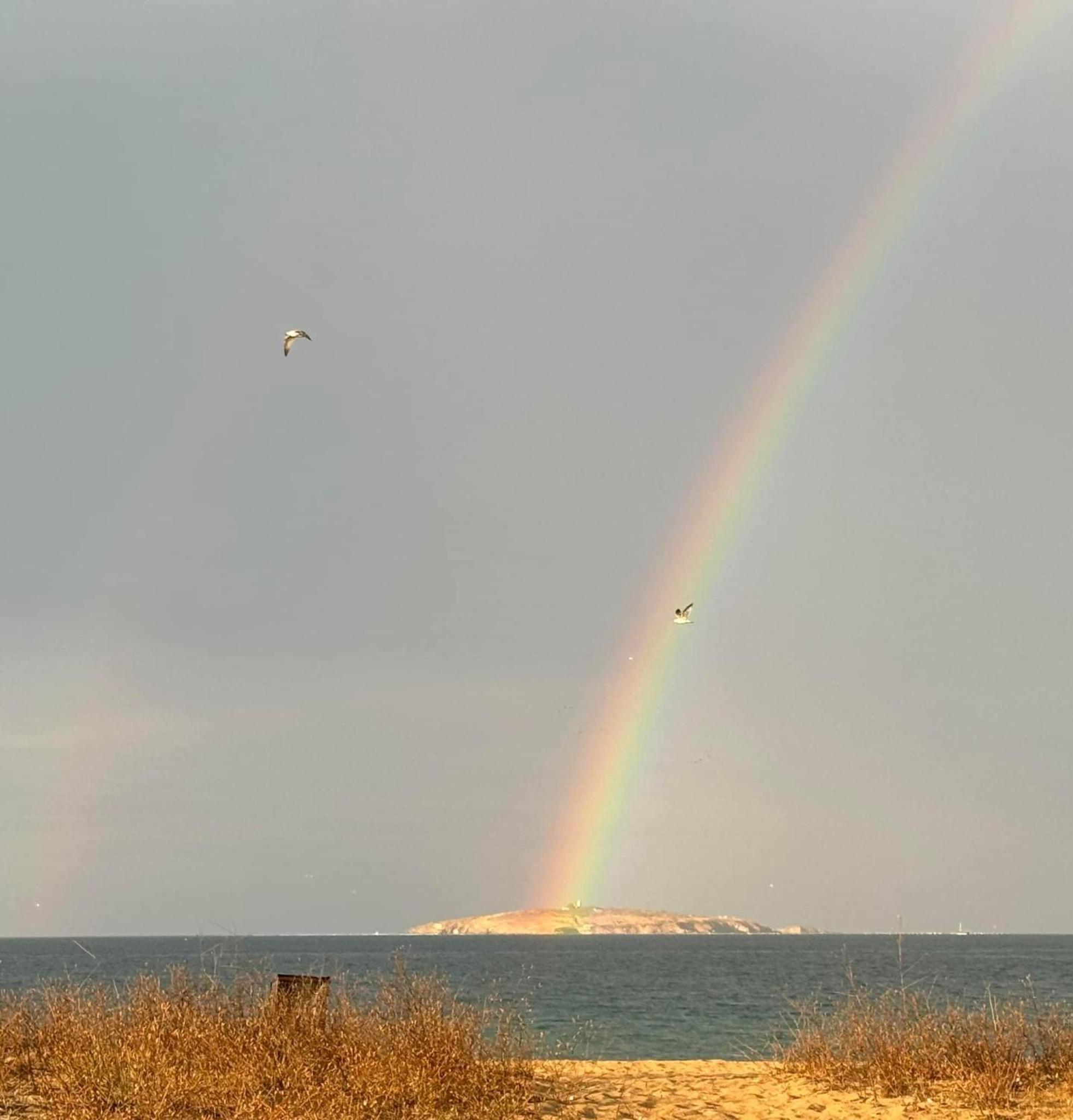 Къмпинг градина луксозен апартамент view 2