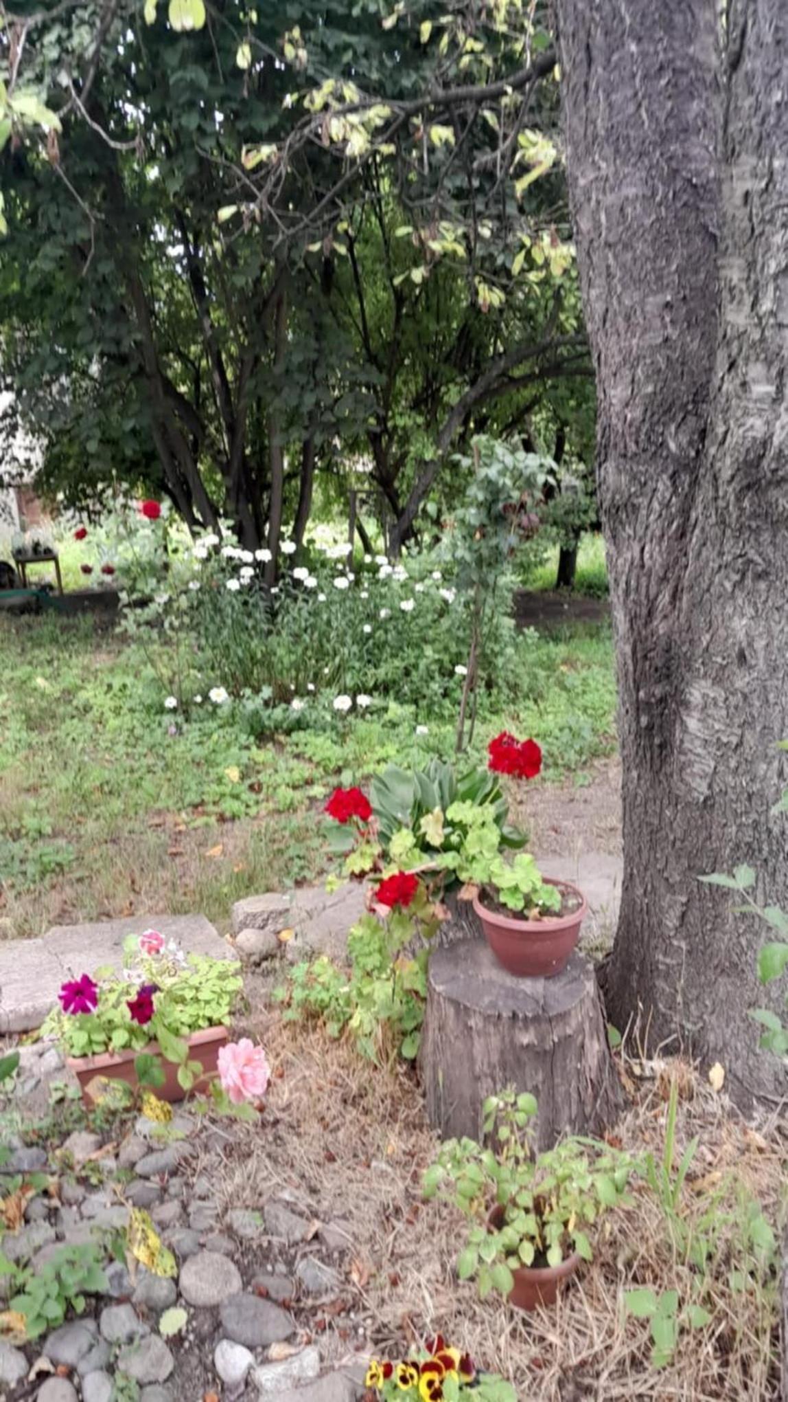 Hayk B&B (in Sanahin)