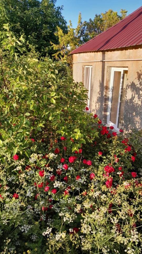 Hayk B&B (in Sanahin)