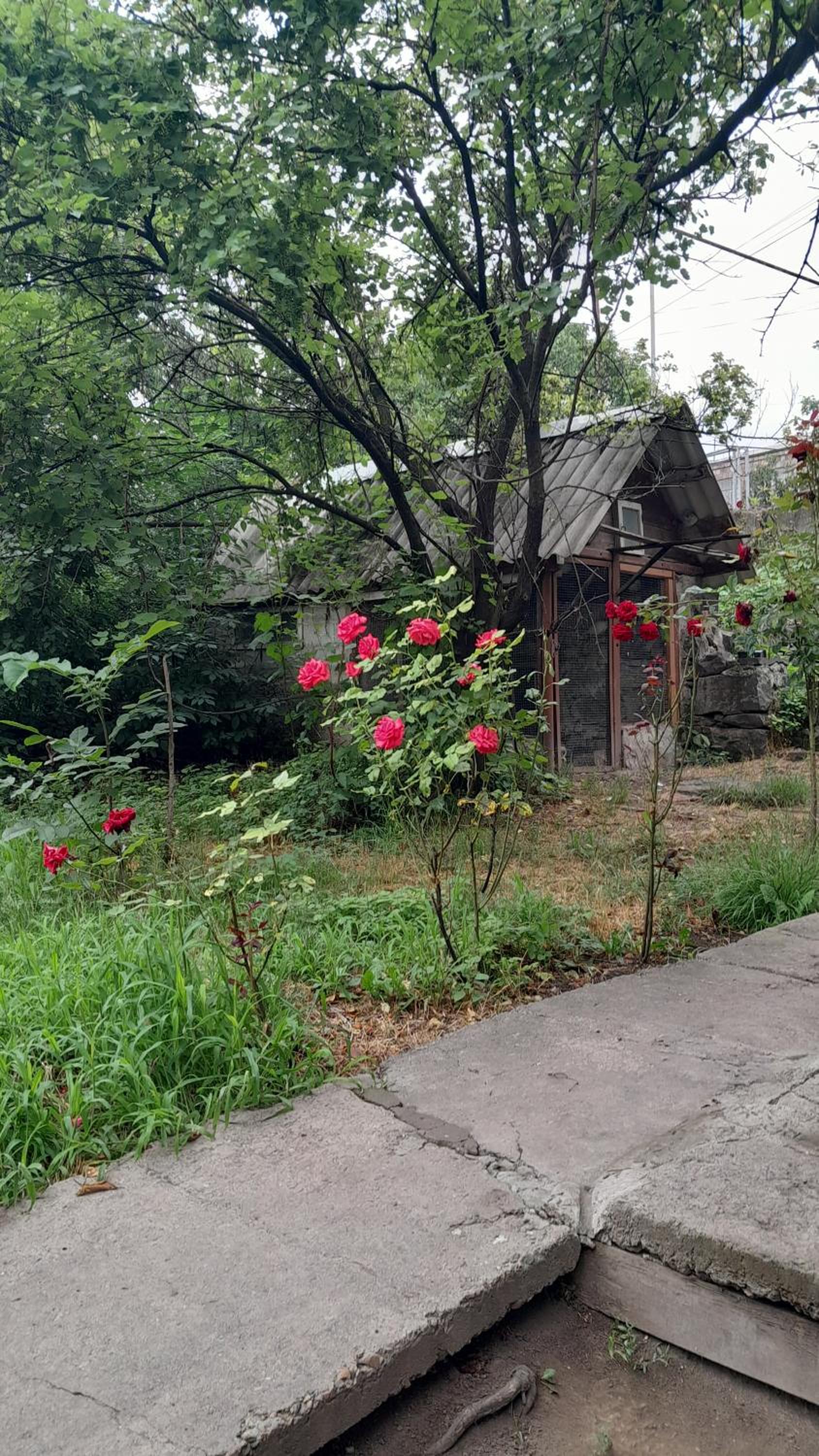 Hayk B&B (in Sanahin)