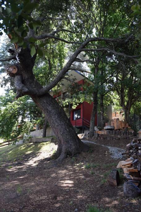 La Salamandra casa para 4 personas con costa de lago