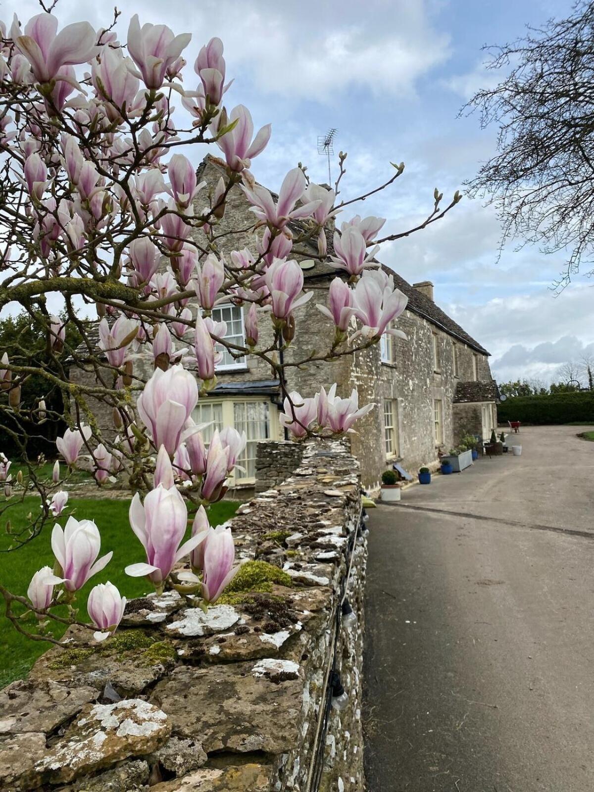 Furzen Farmhouse - Quiet Alternative to a Hotel