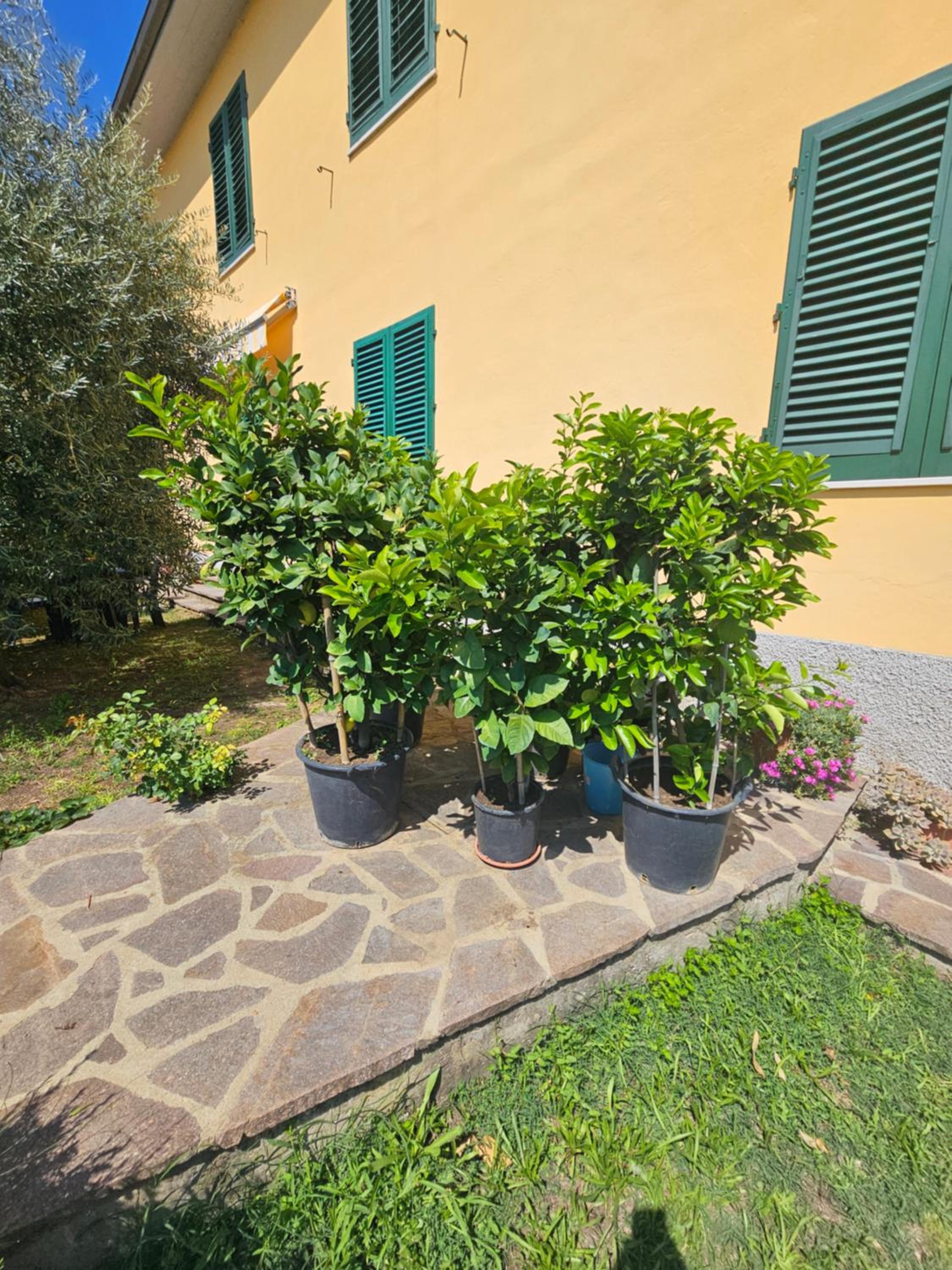 Photo 41
