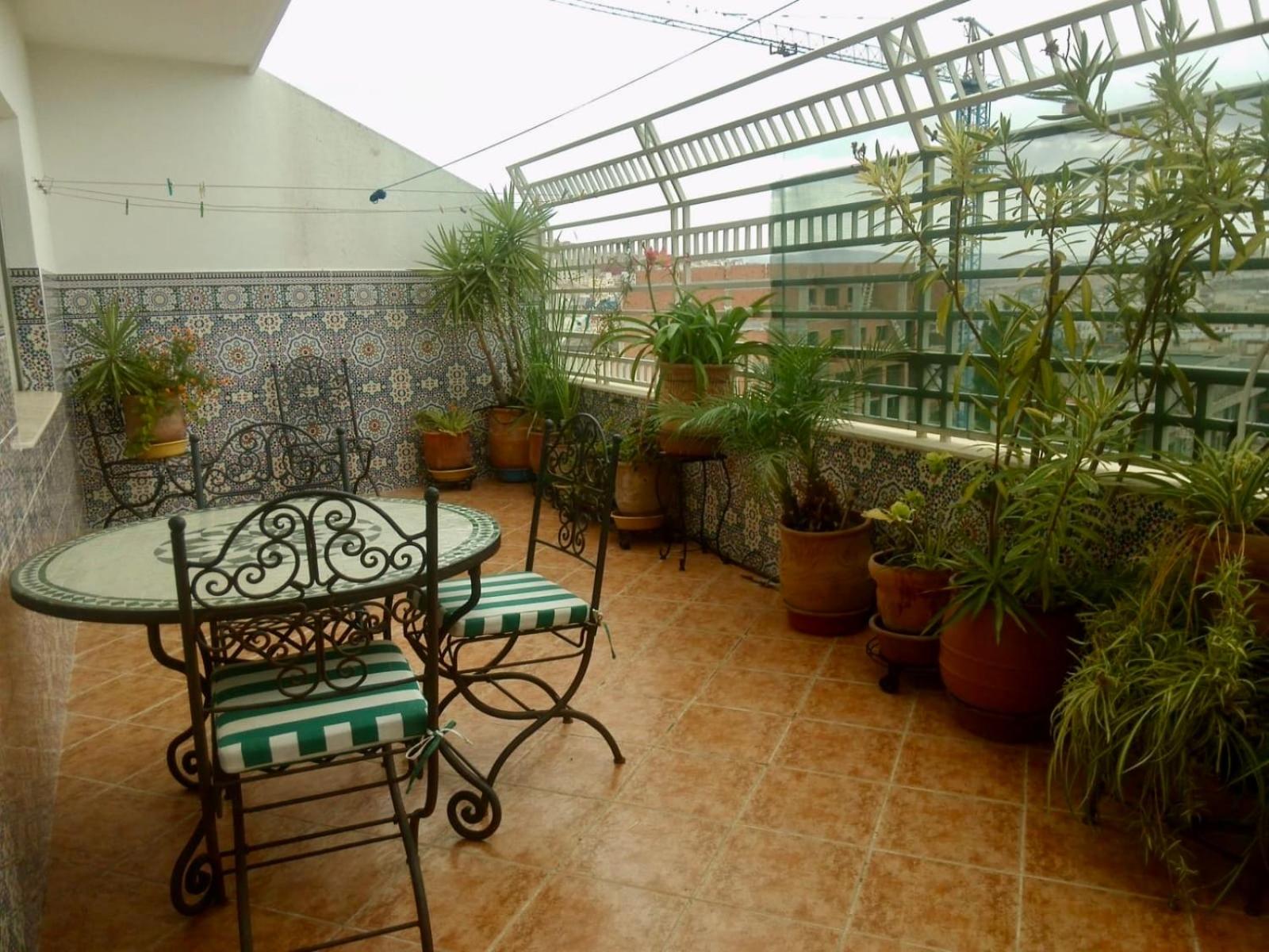 balance & terrace
