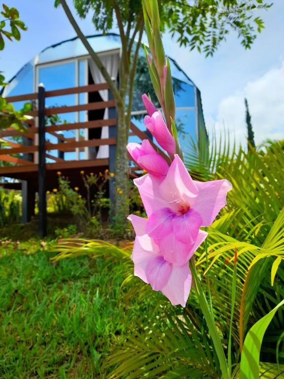 Glamping Mirador Barichara