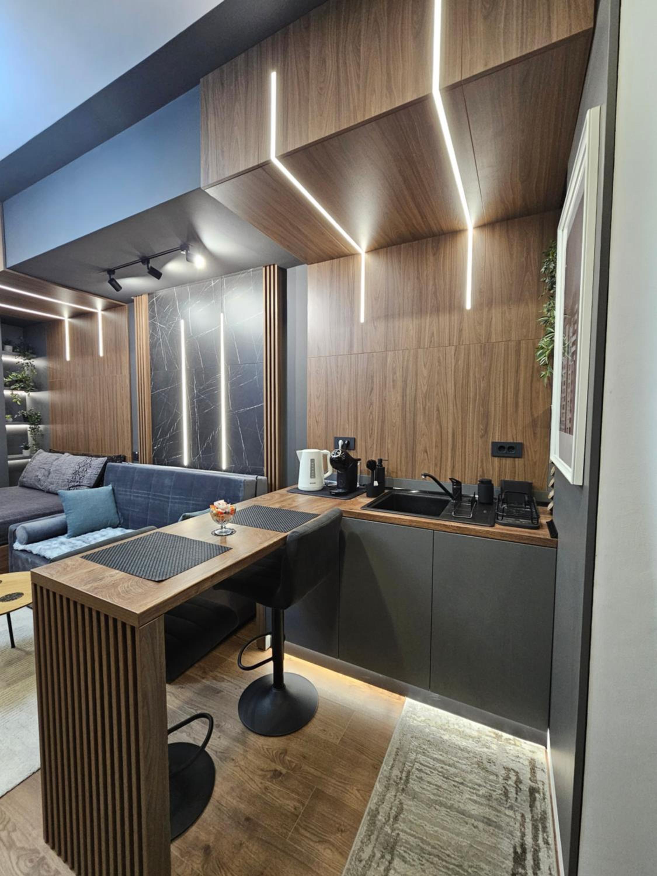 Iasi Business Suite view 4