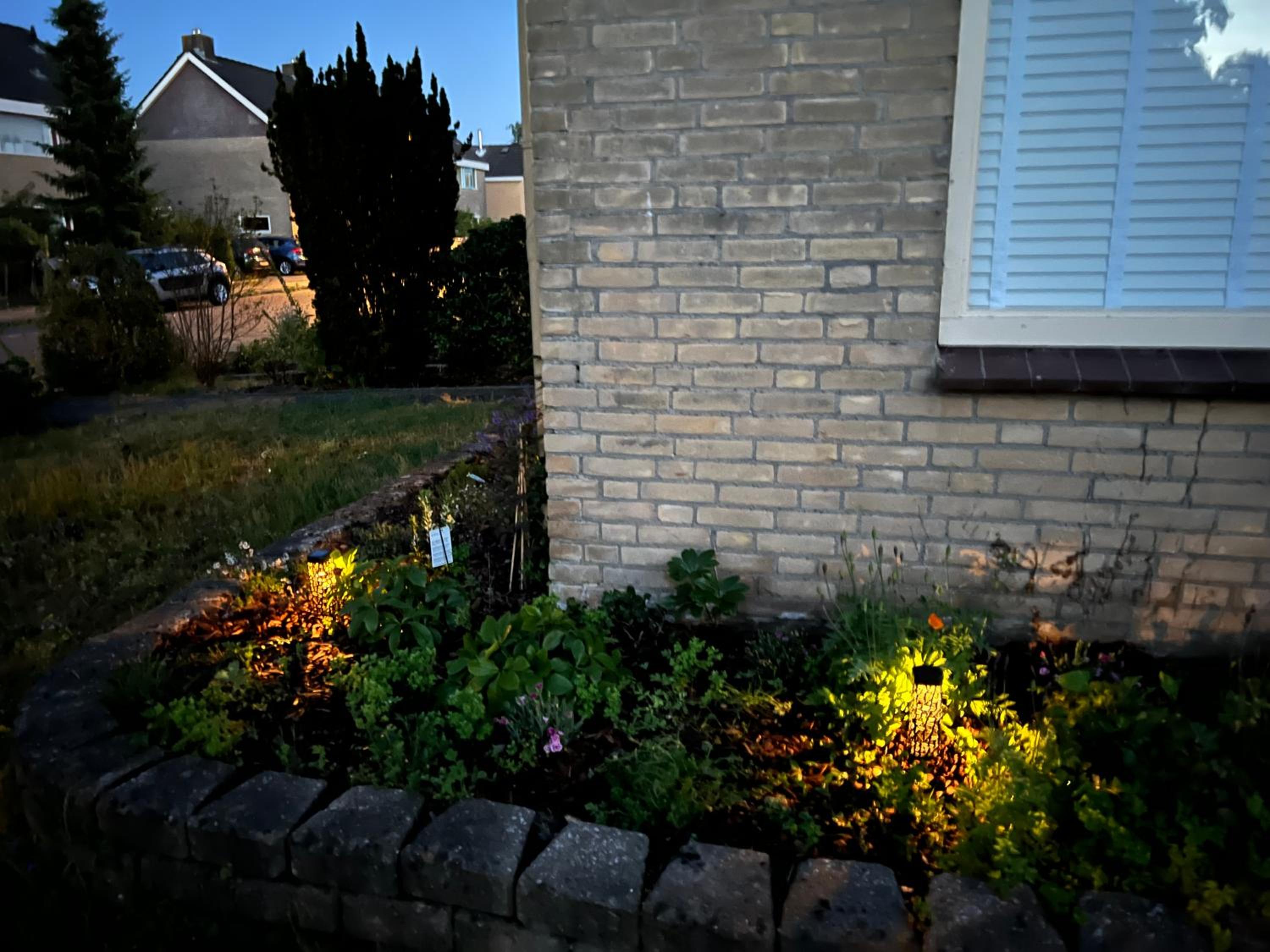 Photo 41
