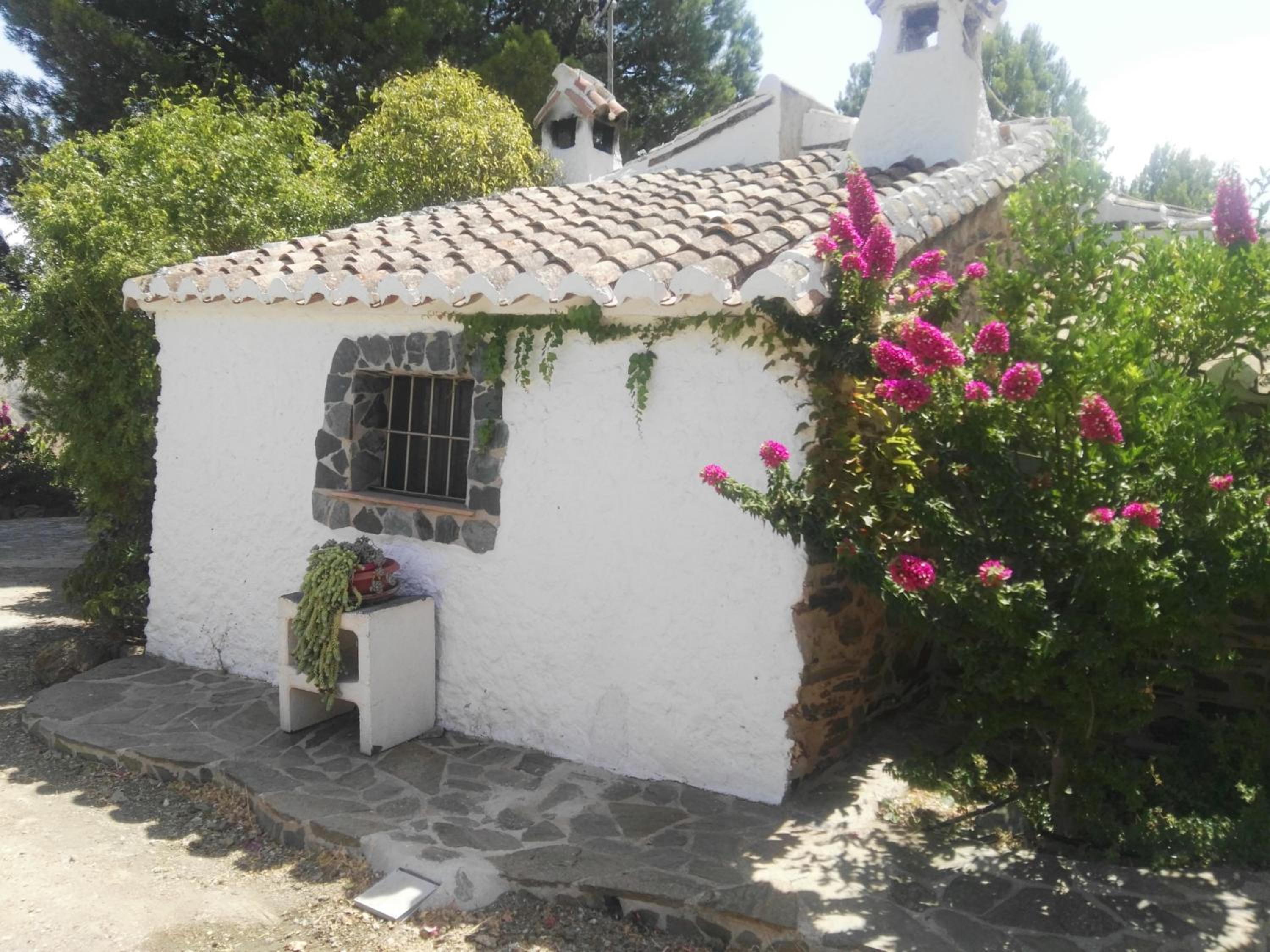 Pinar El Almendra