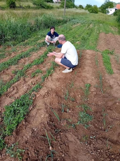 Agroturizam Podastrana