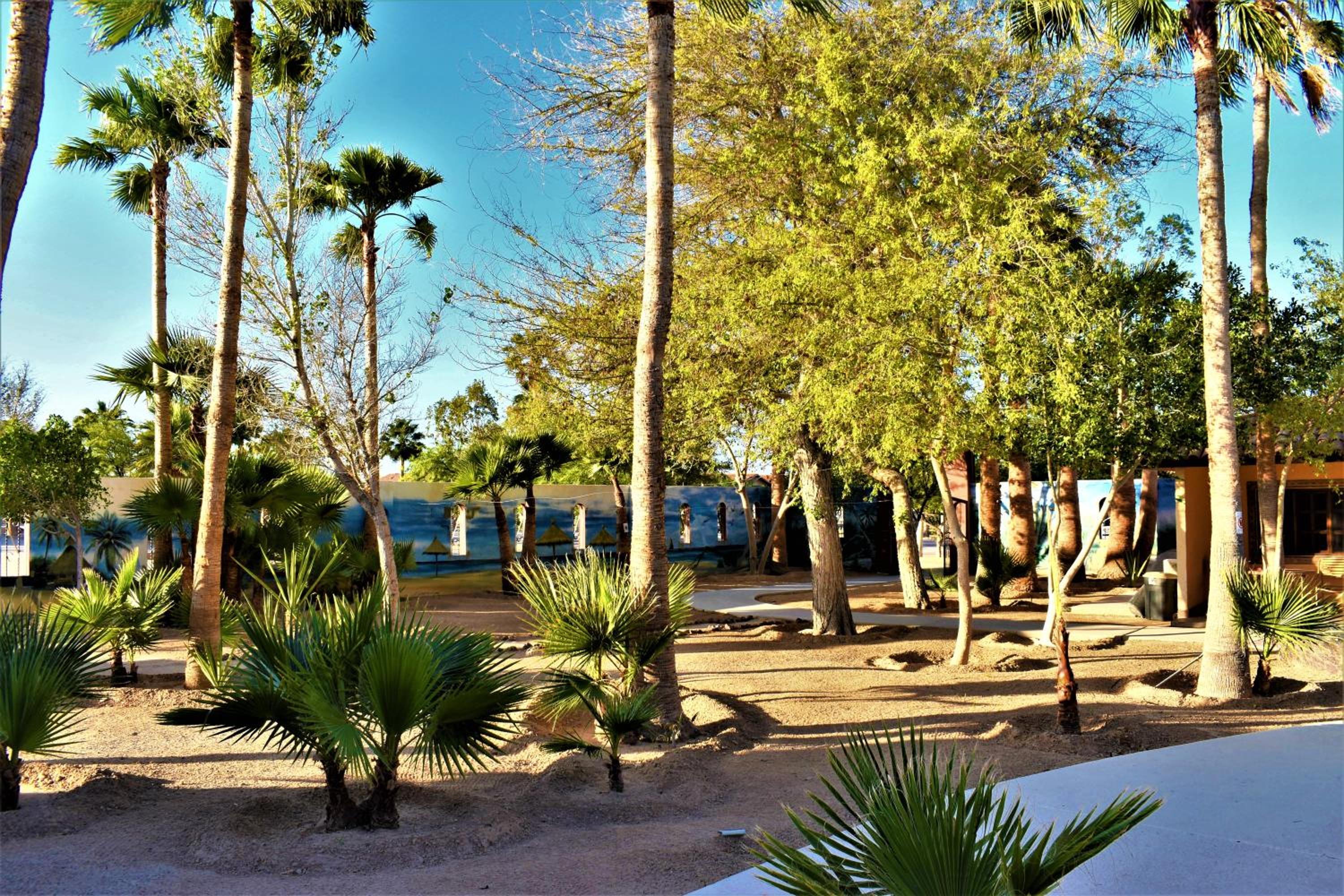 HACIENDA MONARCAS Resort - Property Image 3