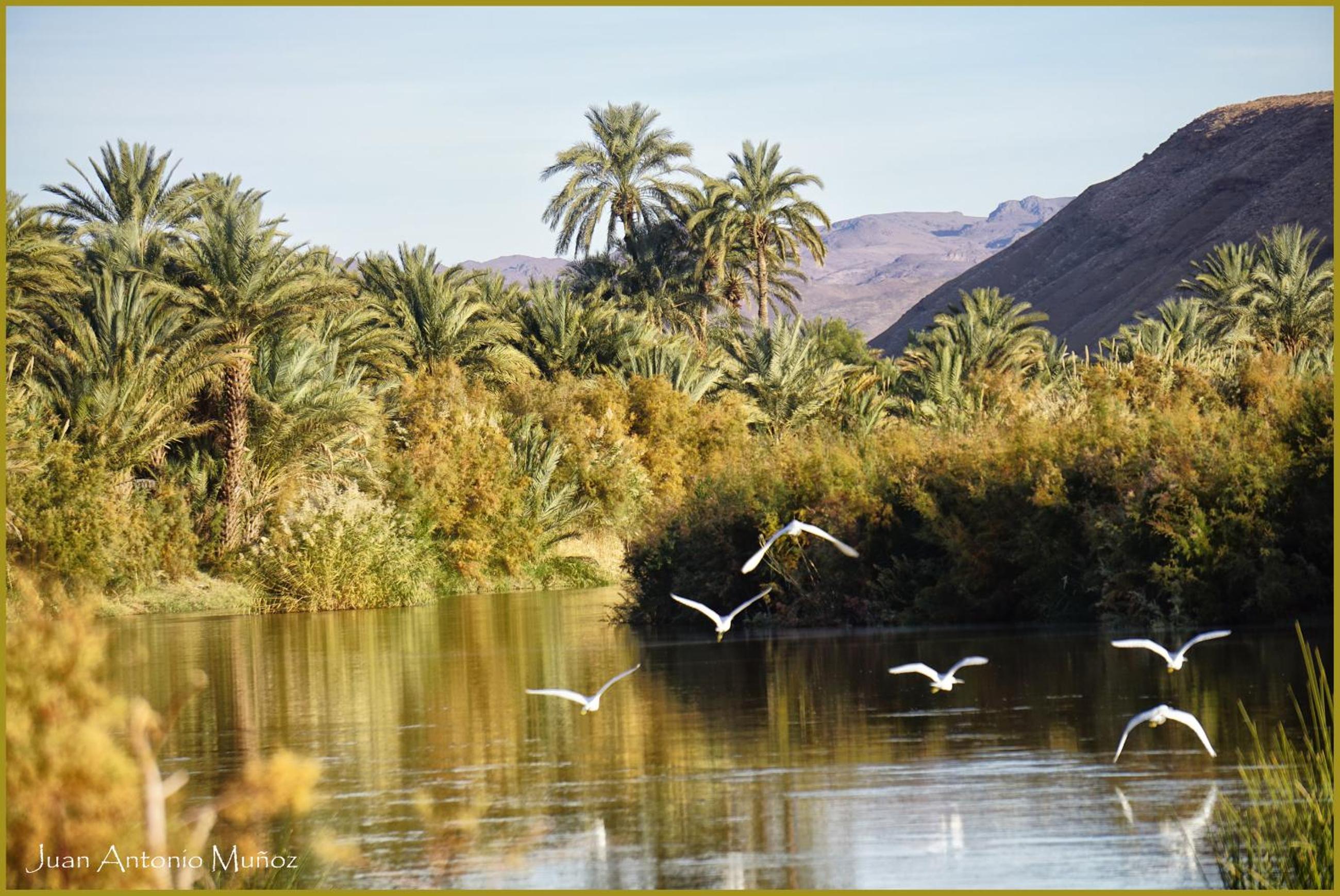Lodge Hara Oasis