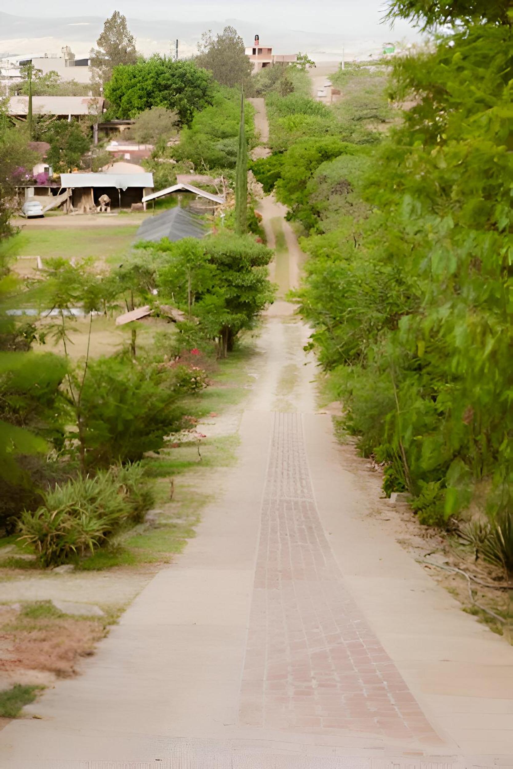 Photo 42