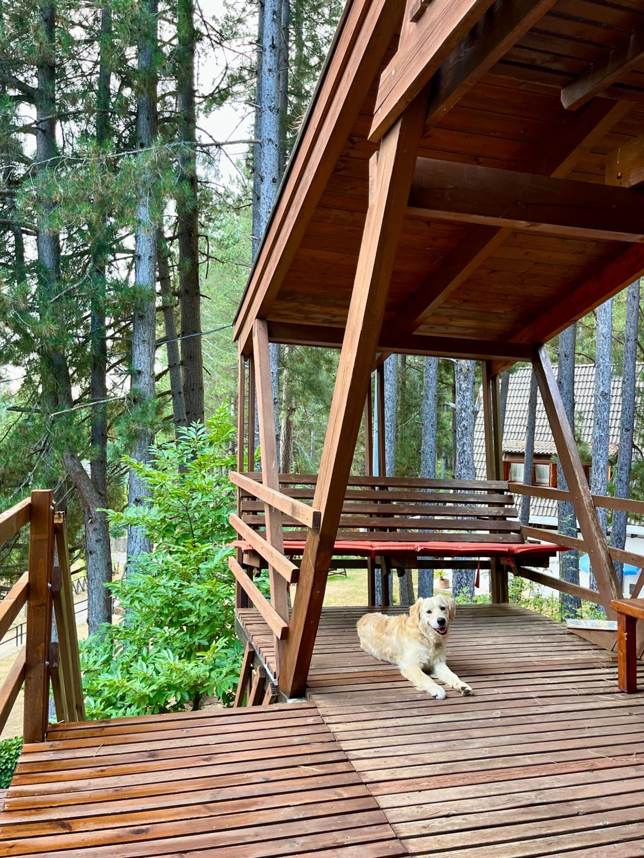 Chalet Natura la tana del ghiro view 5