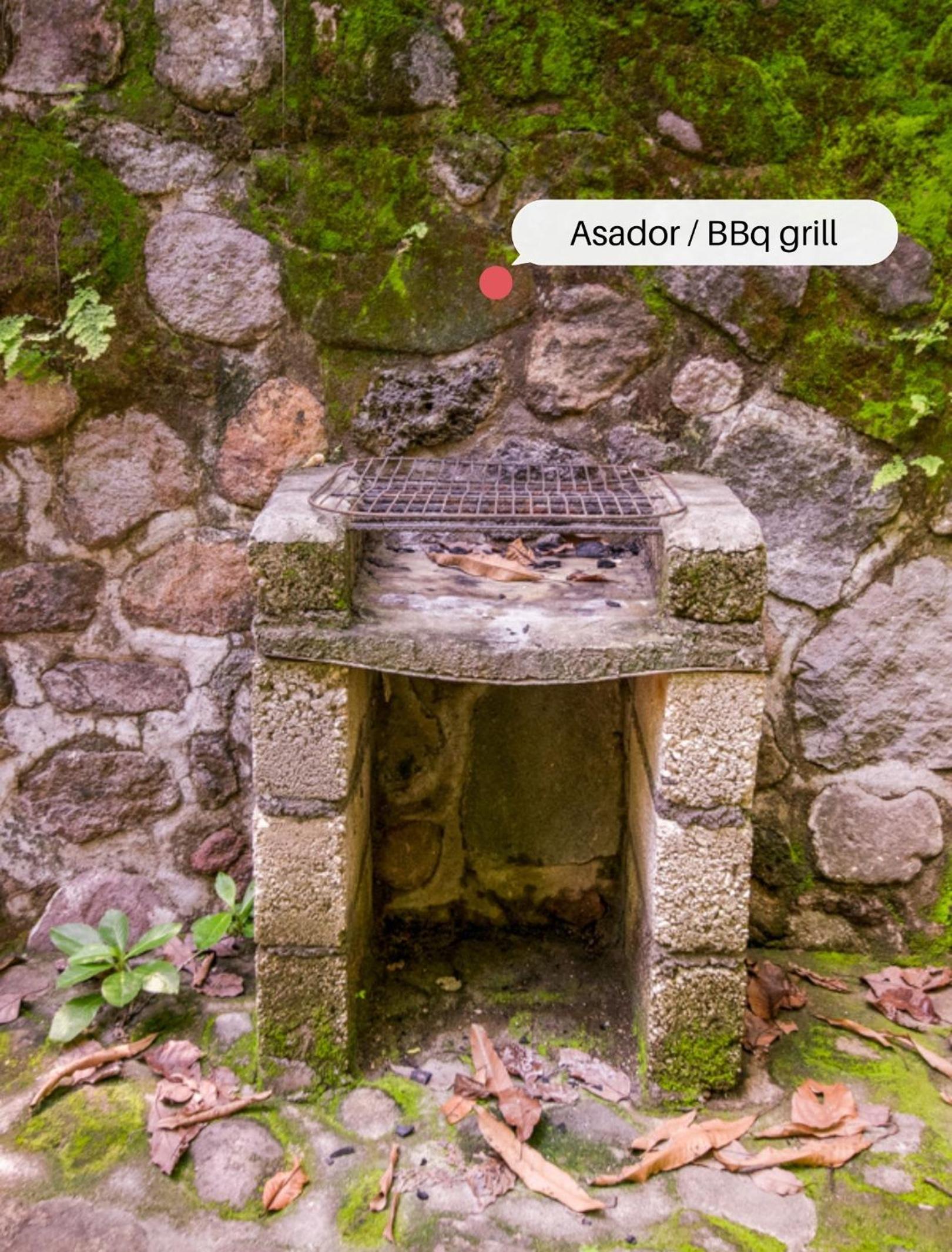 Photo 43