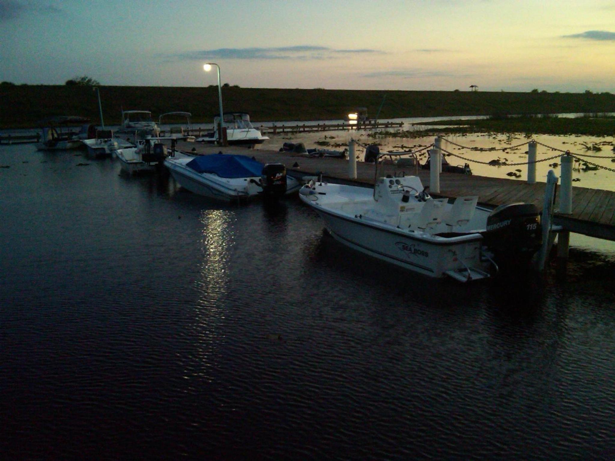 Photo 46