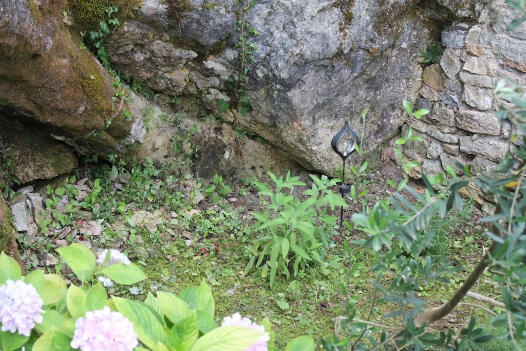 Photo 46